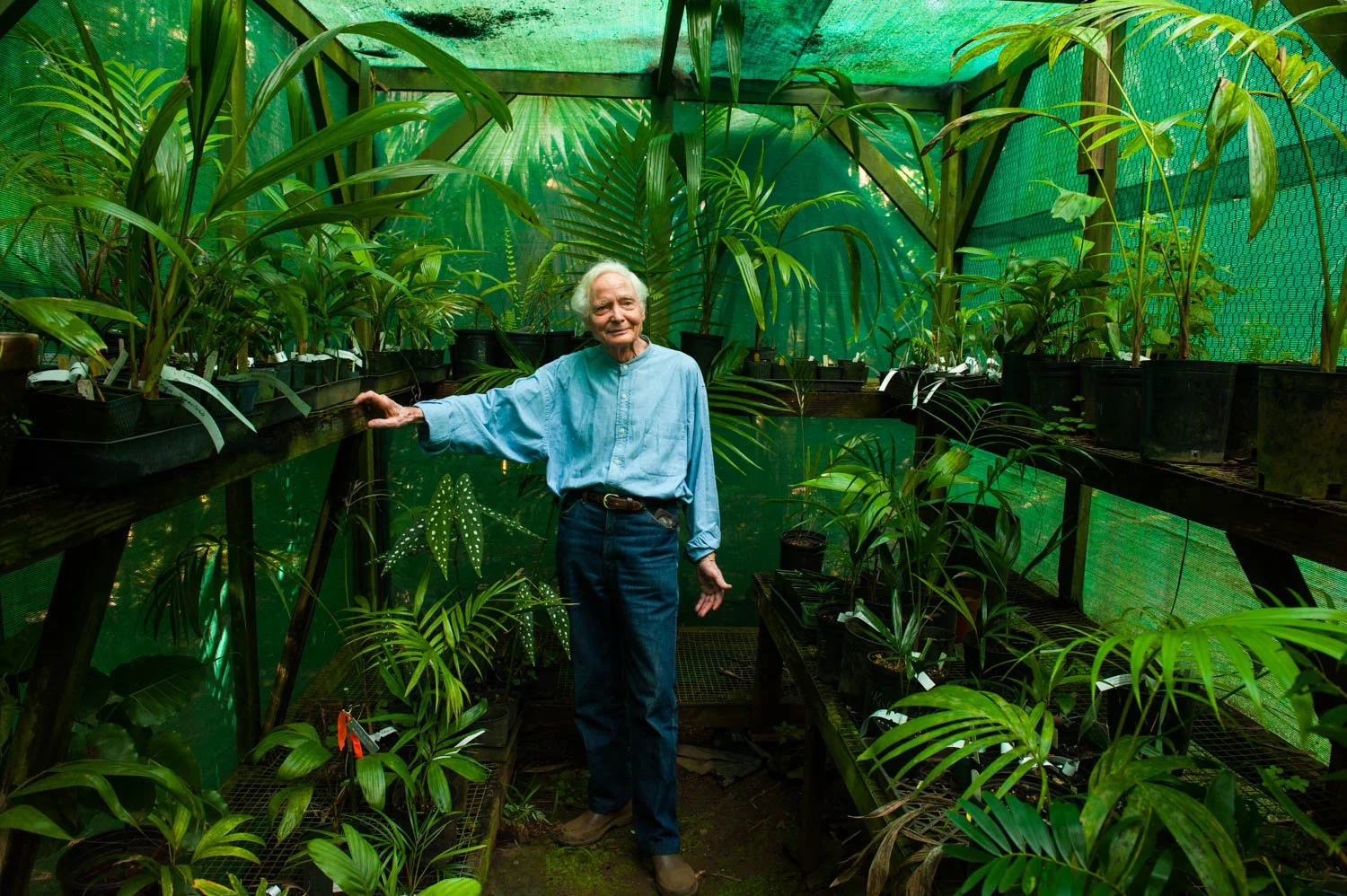  W.S. Merwin in greenhouse, Merwin Conservancy, Haiku, Maui, HI