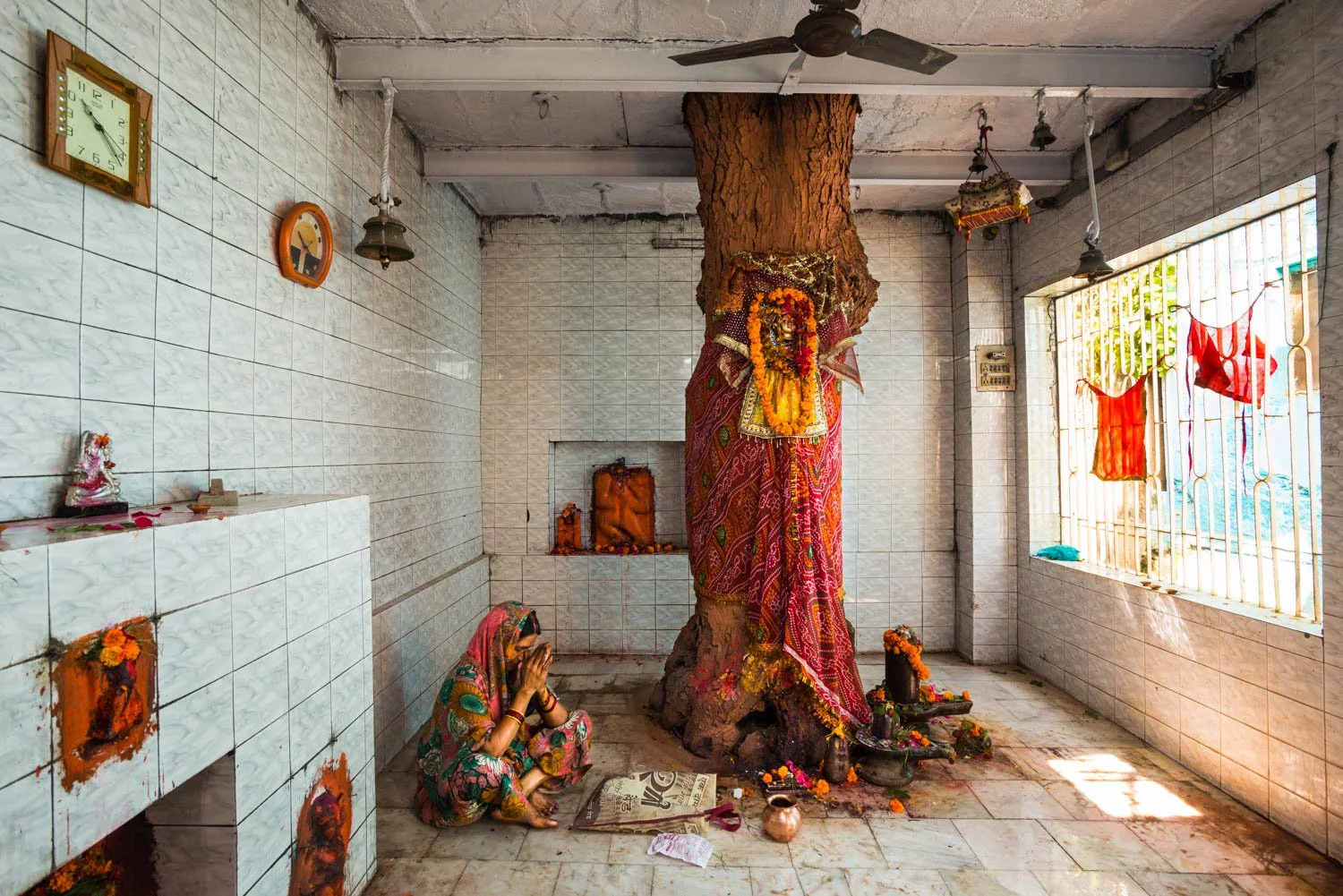  "Shitala's Tree" [Sacred Neem tree]  Nanghan Bir Baba Temple, Benares, India