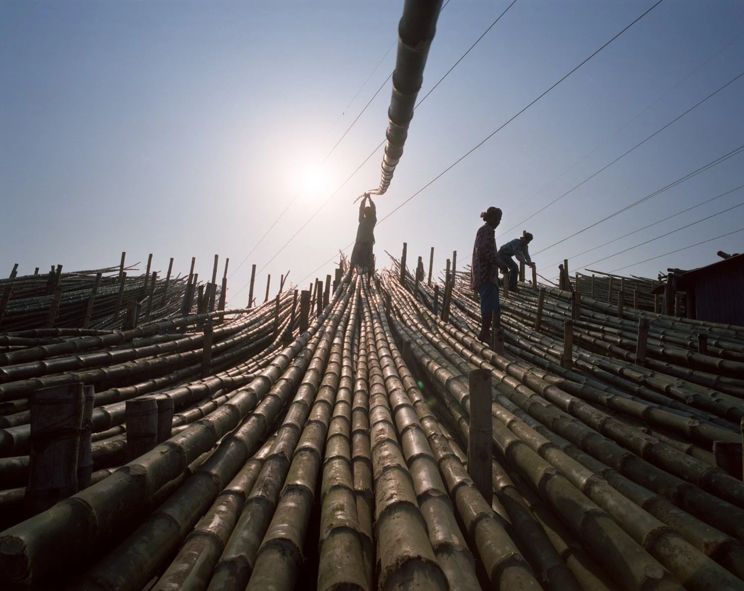  Rampura Bash Bamboo Market, Dhaka, Bangladesh