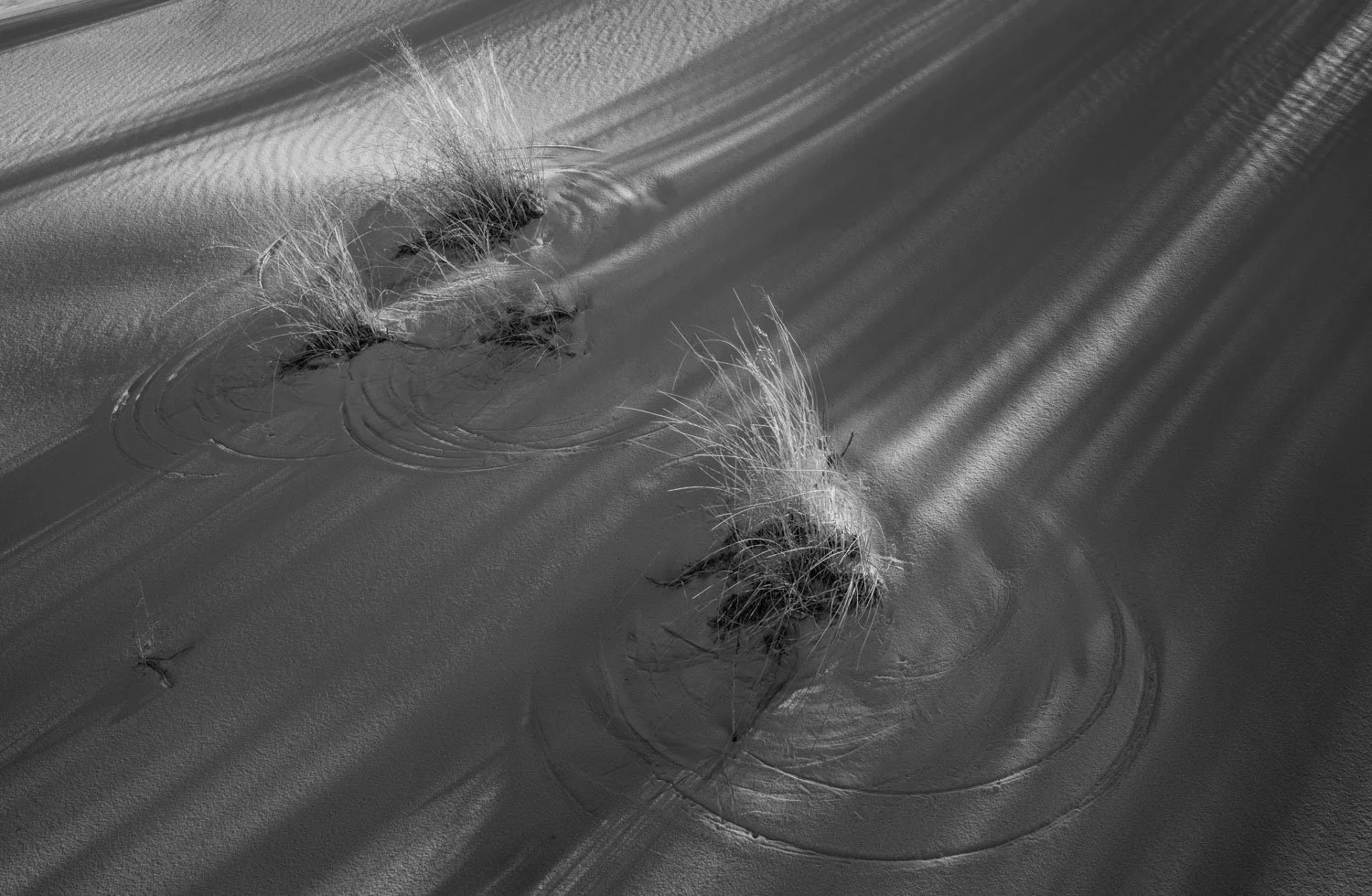  White Sands National Monument, NM