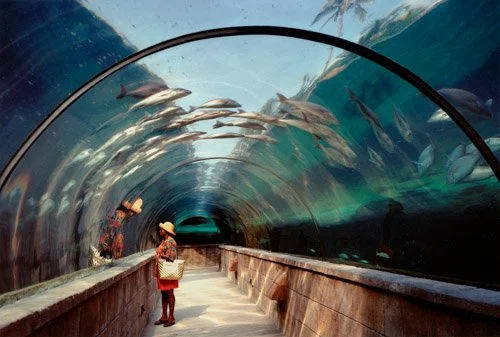 Aquarium, Atlantis, Paradise Island, Bahamas