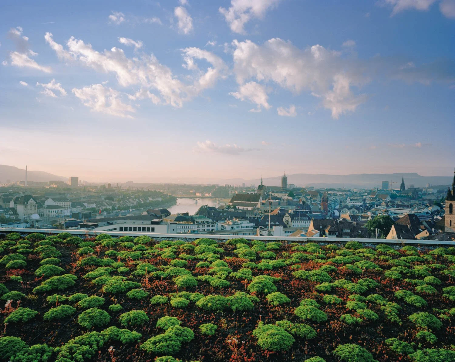  Green Roof, University Cantonal Hospital, Basel, Switzerland