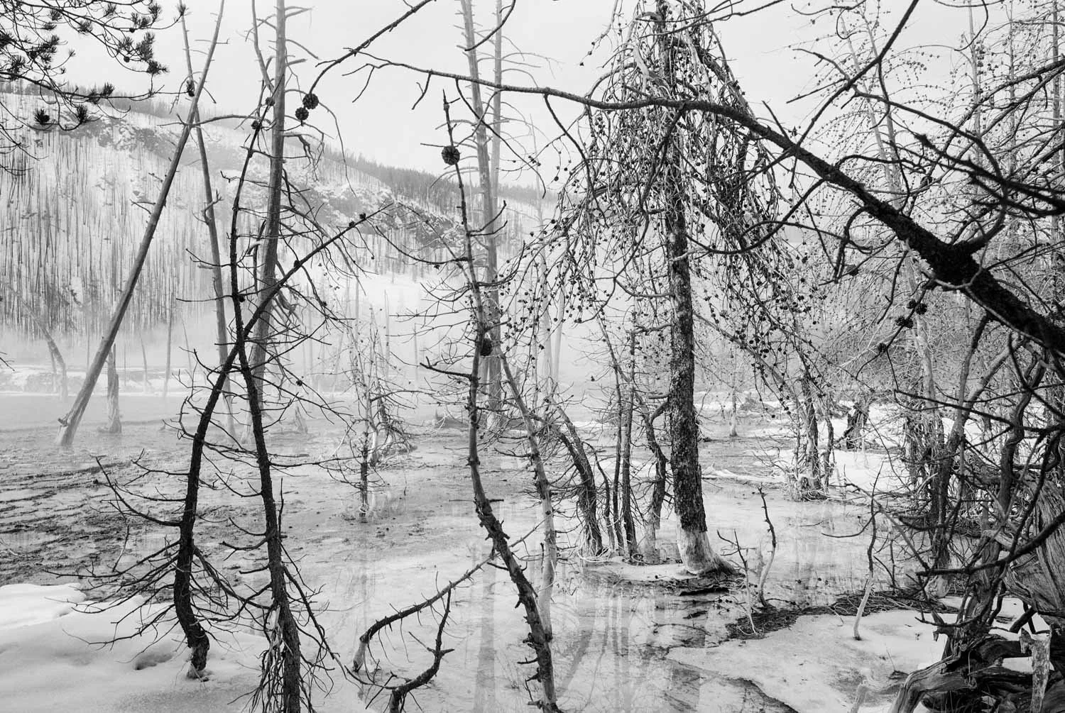  Opalescent Pool, Yellowstone National Park, WY