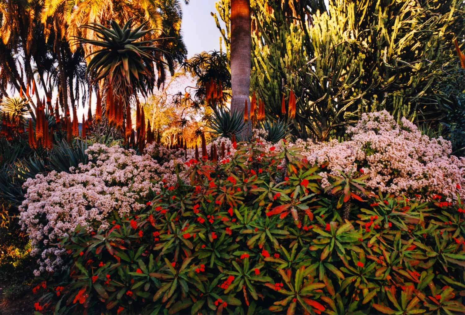  Huntington Gardens, San Marino, CA