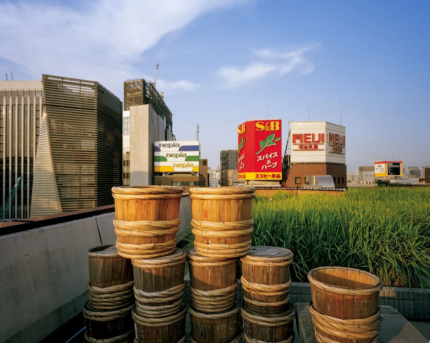  Rice paddy green roof, Hakutsuru Sake Brewing Co., Tokyo, Japan