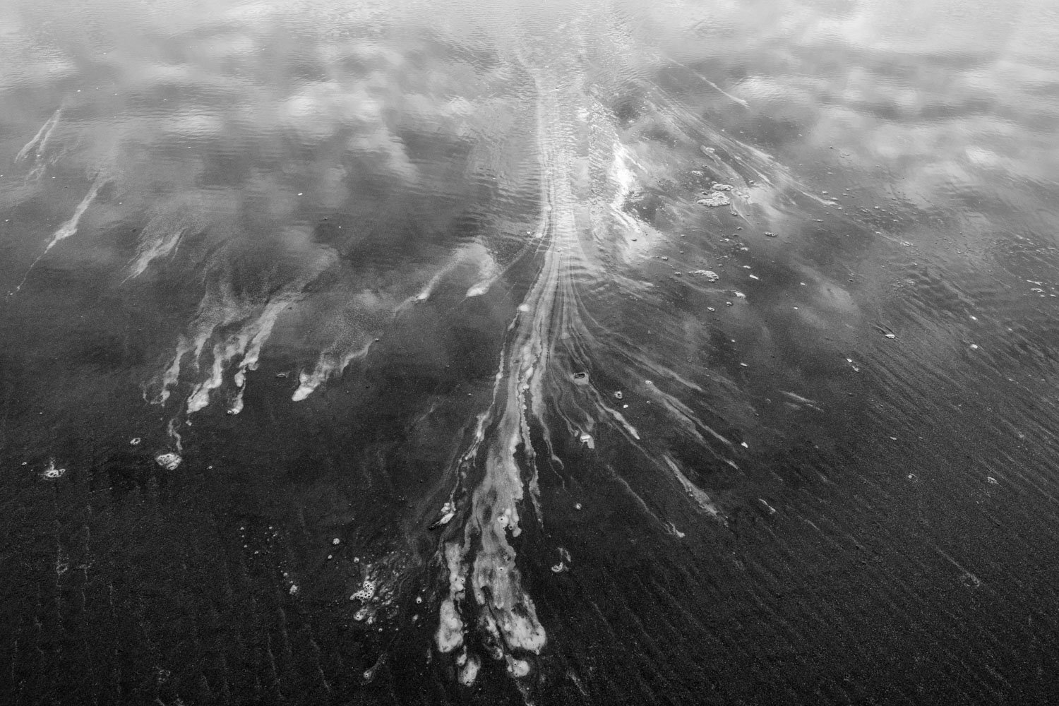  Leadbetter Point State Park, Ocean Park, WA