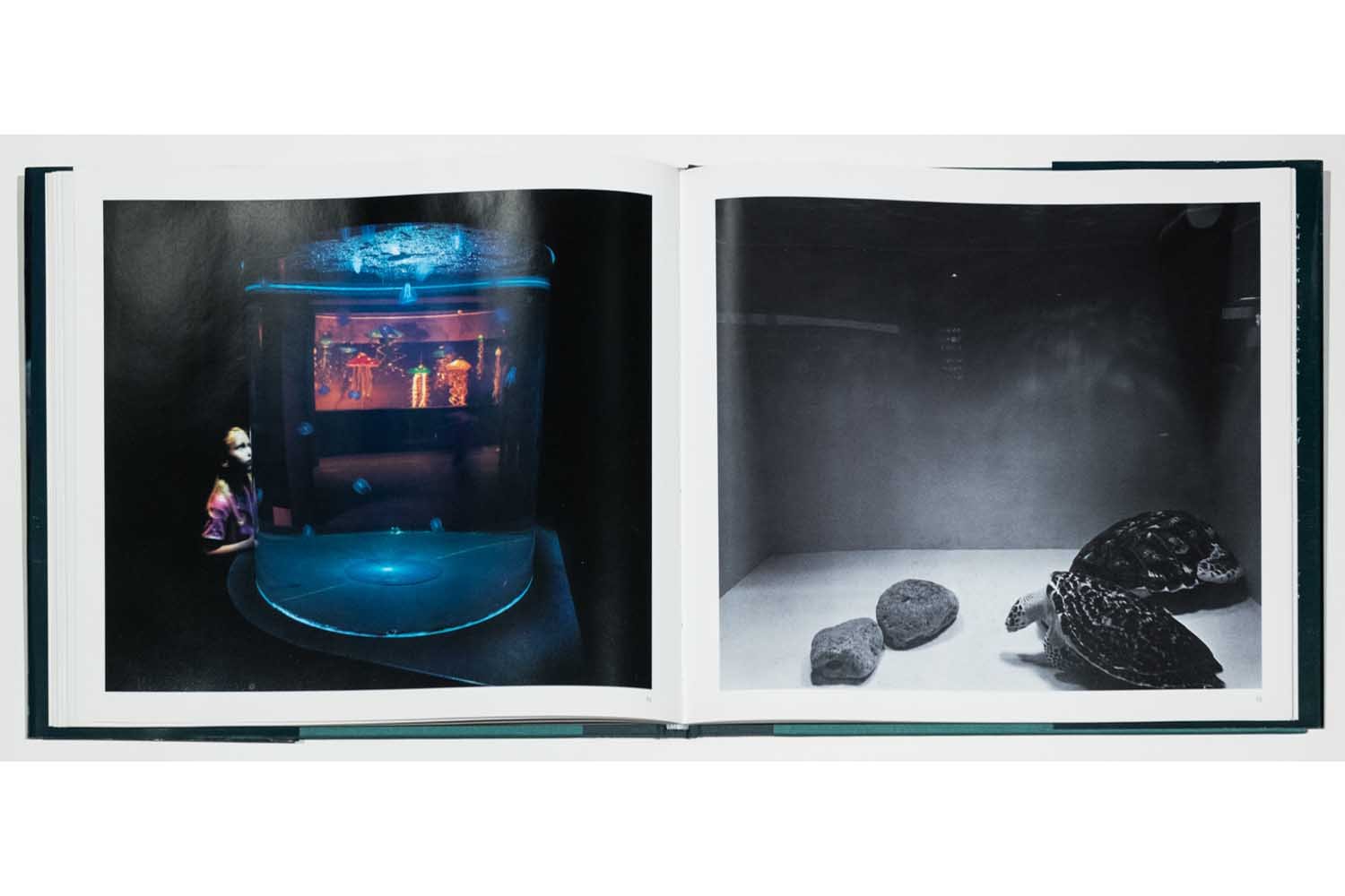 06_Diane Cook & Len Jenshel Photography_Books_Aquarium.jpg