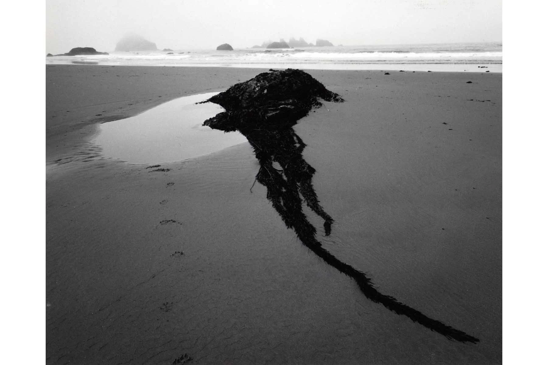  Bandon Beach, Bandon, OR