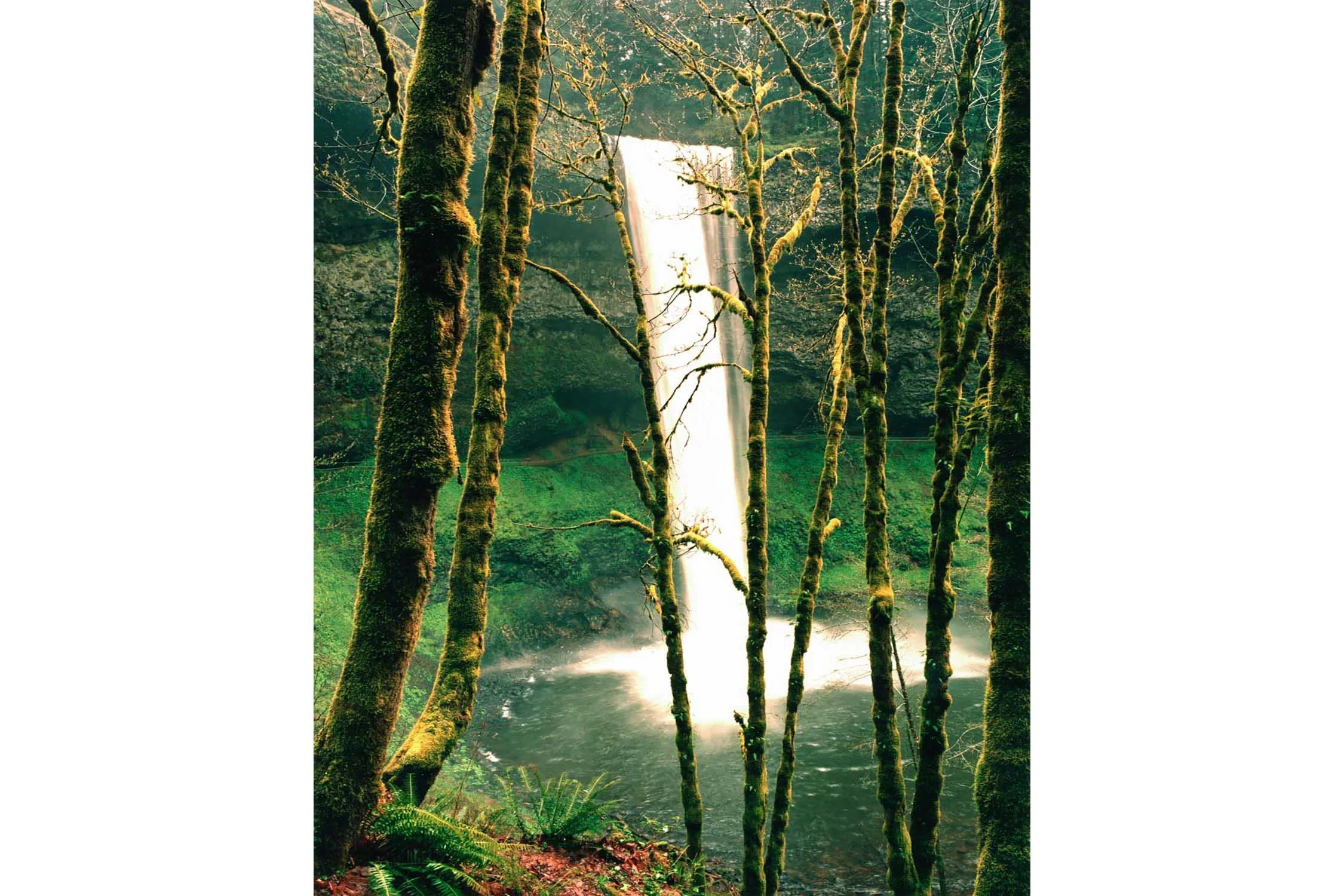  South Falls, Silver Falls State Park, OR