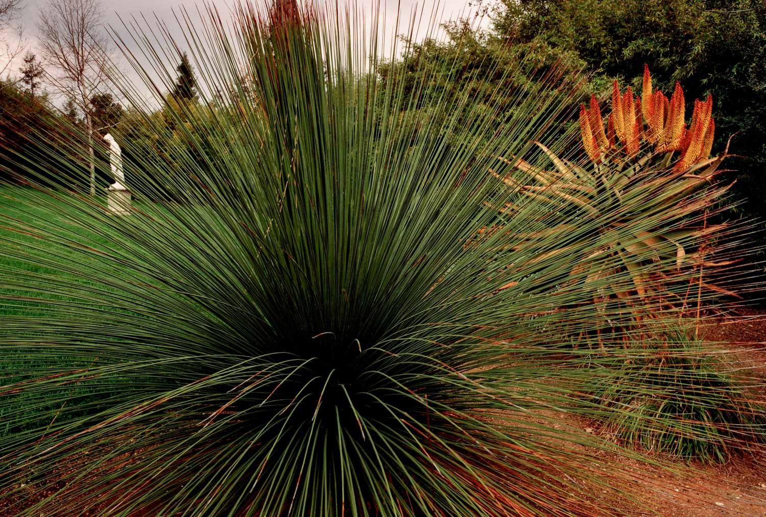 Huntington Gardens, San Marino, CA