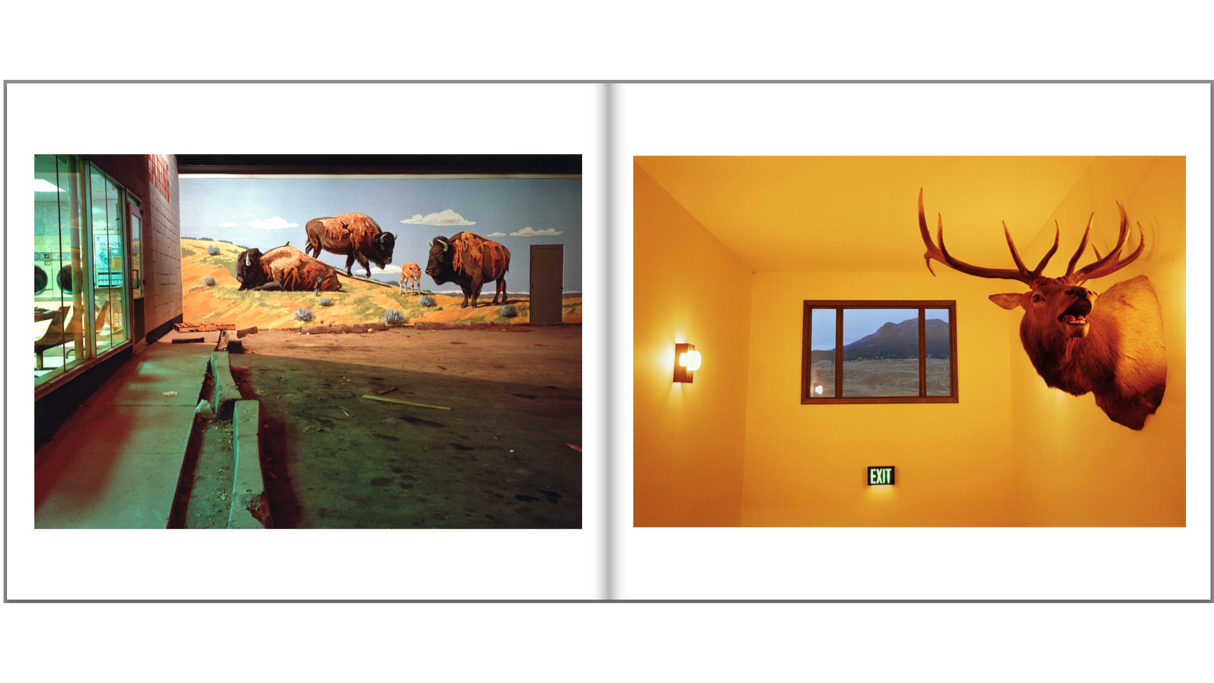 02_Diane Cook & Len Jenshel Landscape Photography_Books, Travels American West, developement, car, roads, National Parks_without titles .png