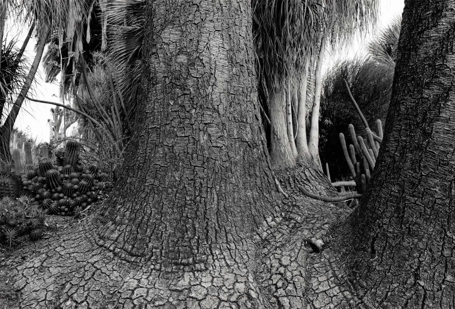 Huntington Gardens, San Marino, CA