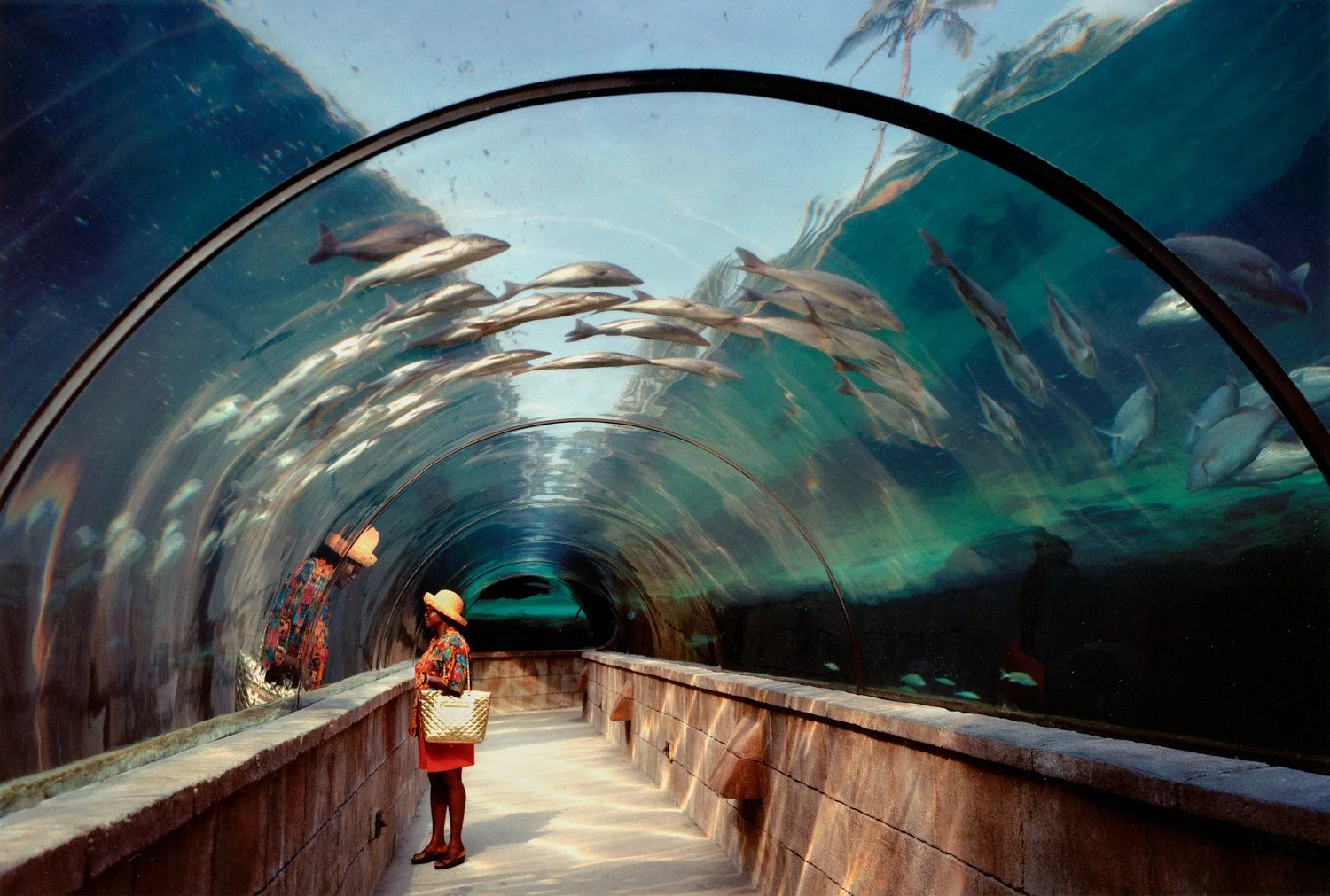  Atlantis, Paradise Island, Bahamas