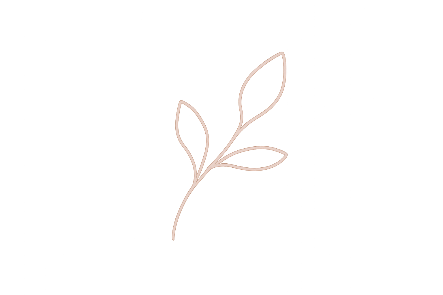 A minimalist, light pink line drawing of a branch with three leaves on a black background.