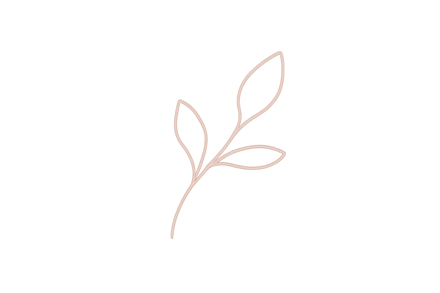 A minimalist line drawing of a plant with three leaves on a black background.