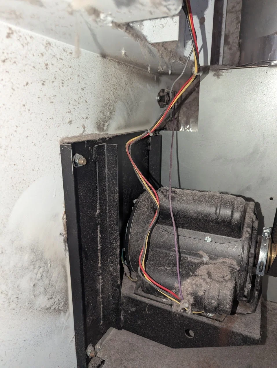 Dexter Dryer