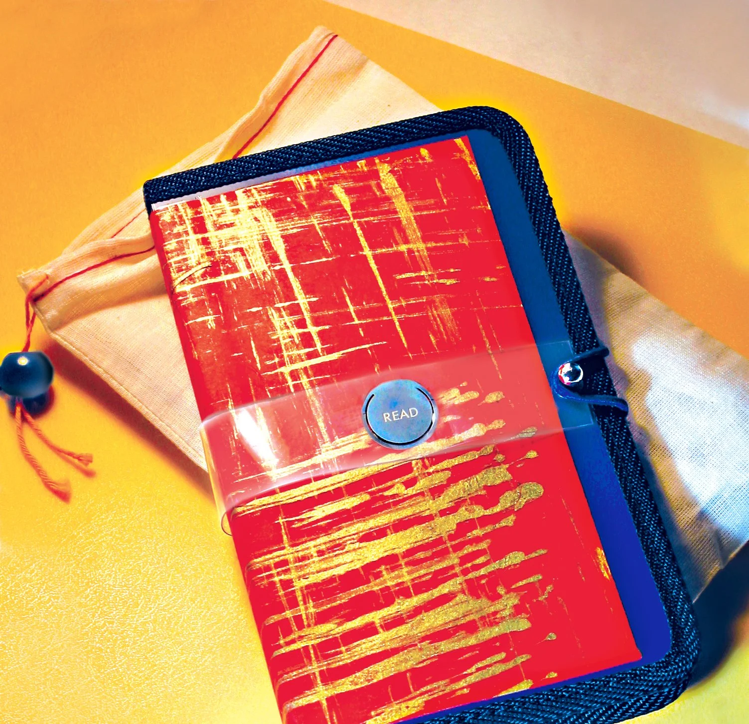 IBS full book photo.jpg