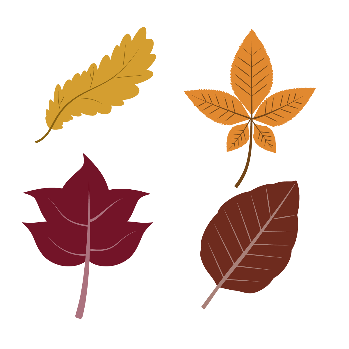 8EC488EC-BDB1-4135-9DDD-9D9F0543AA27.png