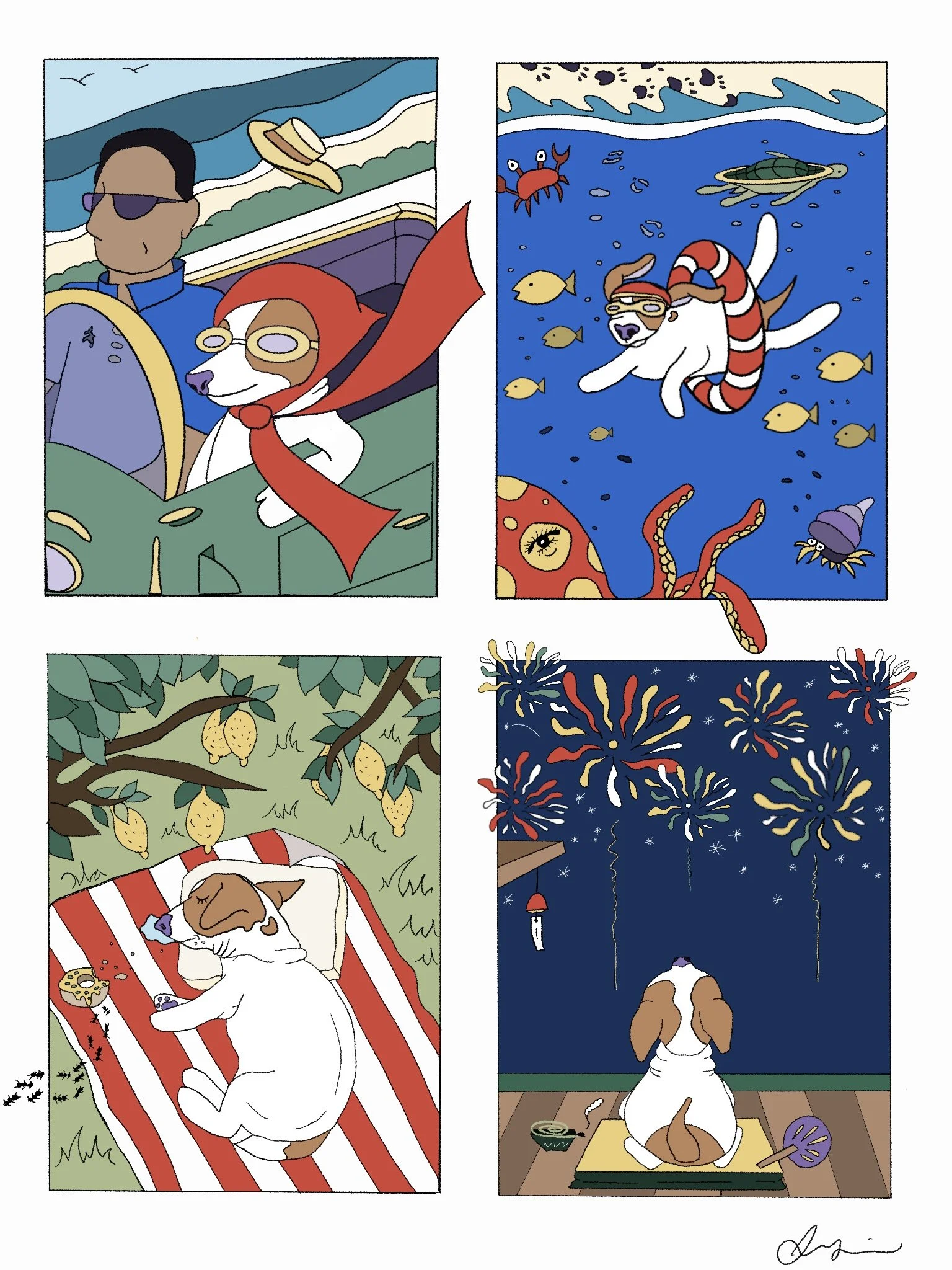 Bruno's Summer Adventures