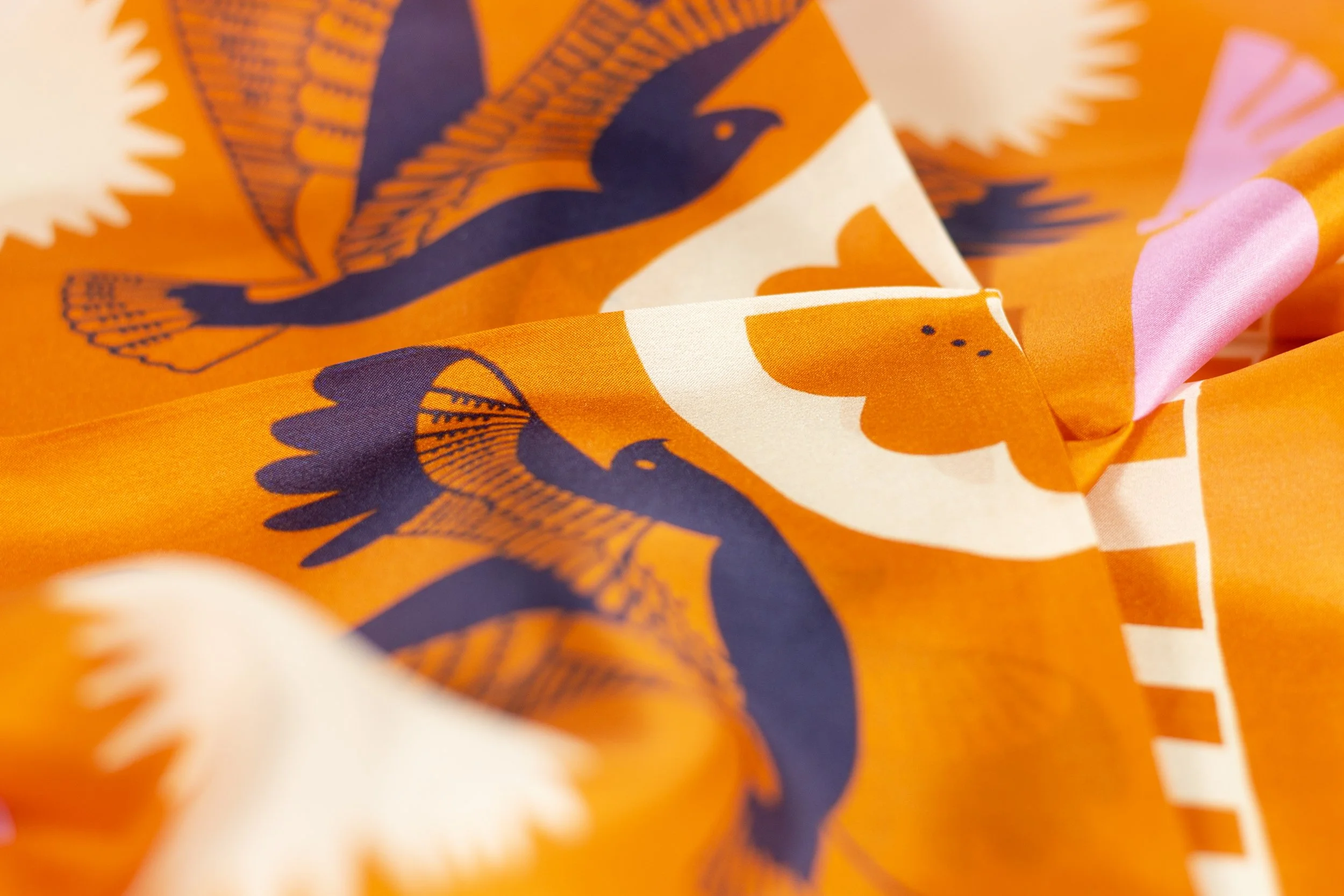 Soar and Sing close web.jpg