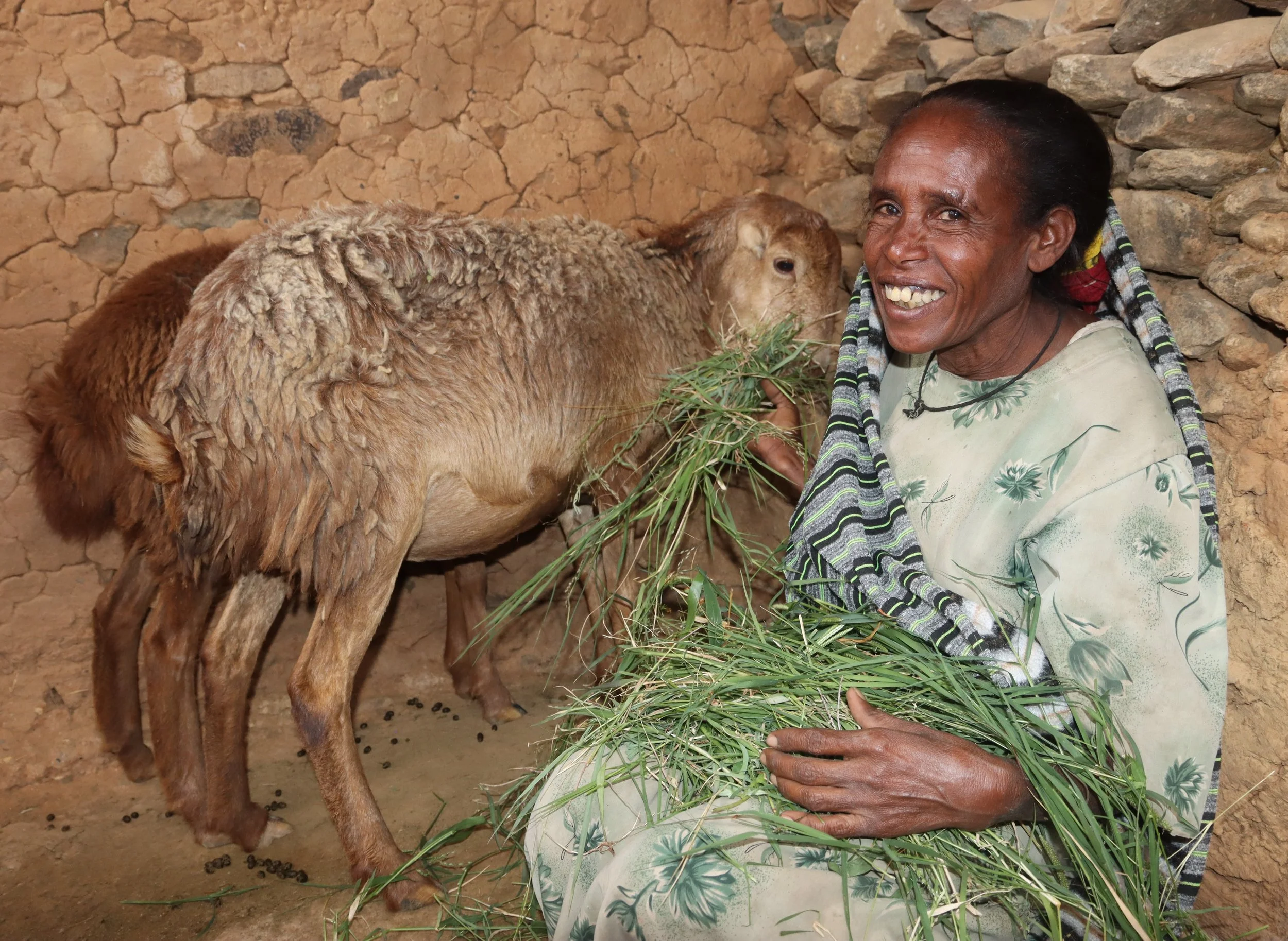 Letebrehan From Begging to Business Owner