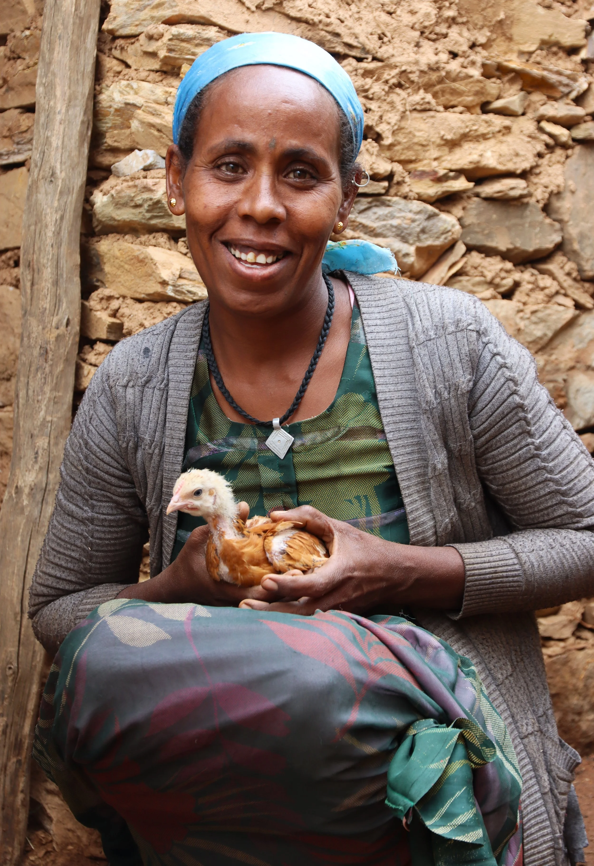 Rebuilding Livelihood Through Poultry