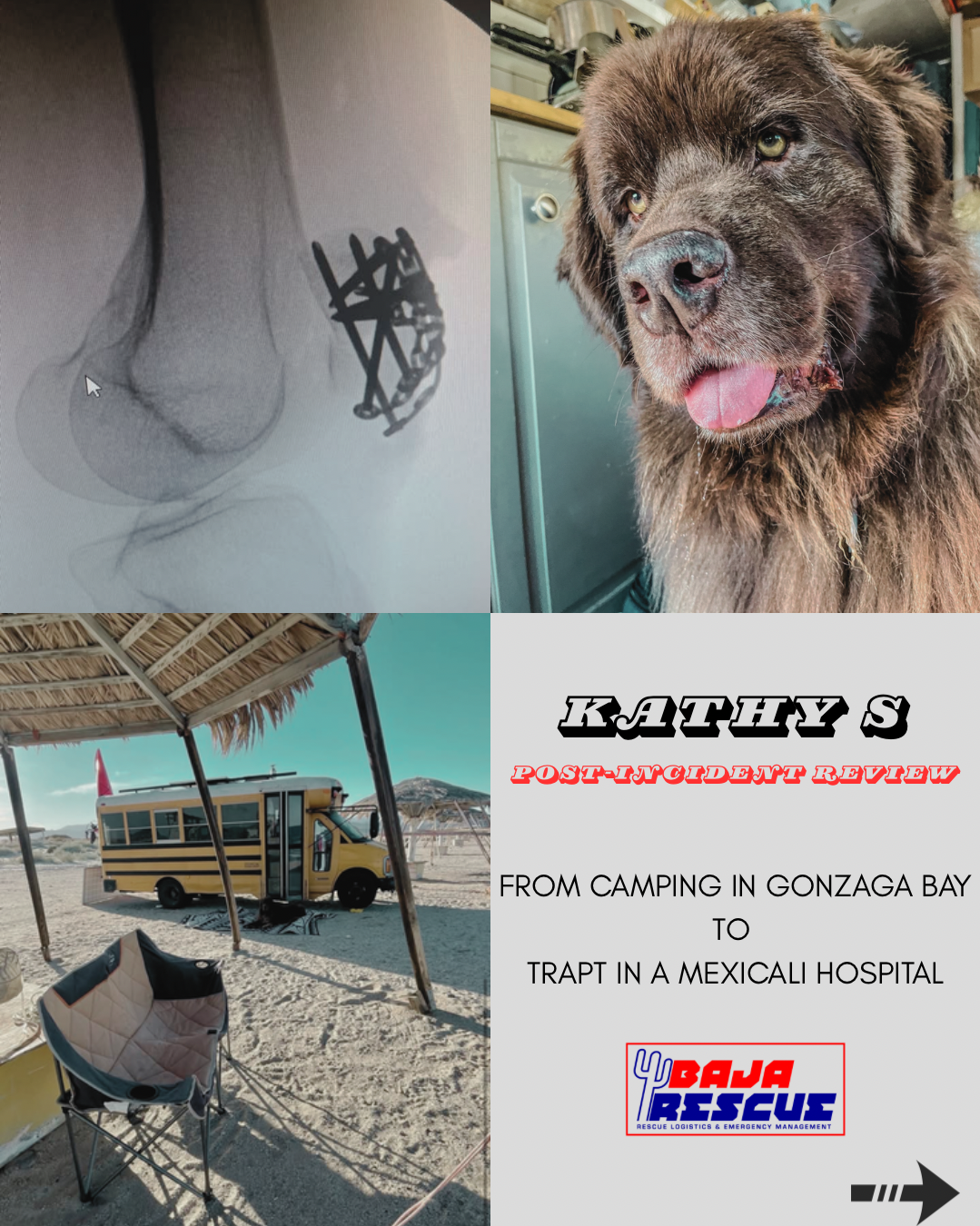 kathy s - medical transport nightmare