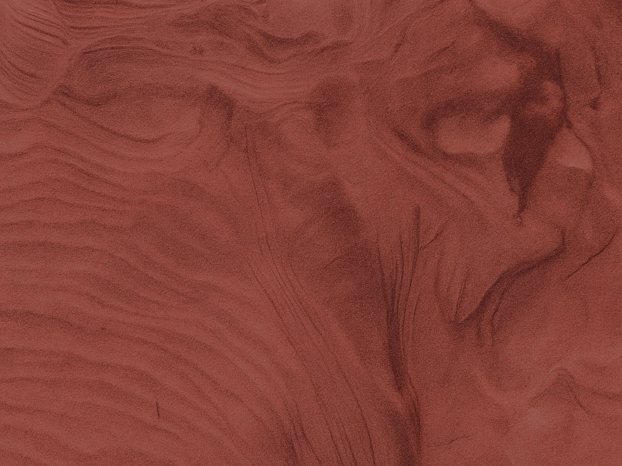 sg_portfolio_hero banner_NEO_2000x1500.jpg