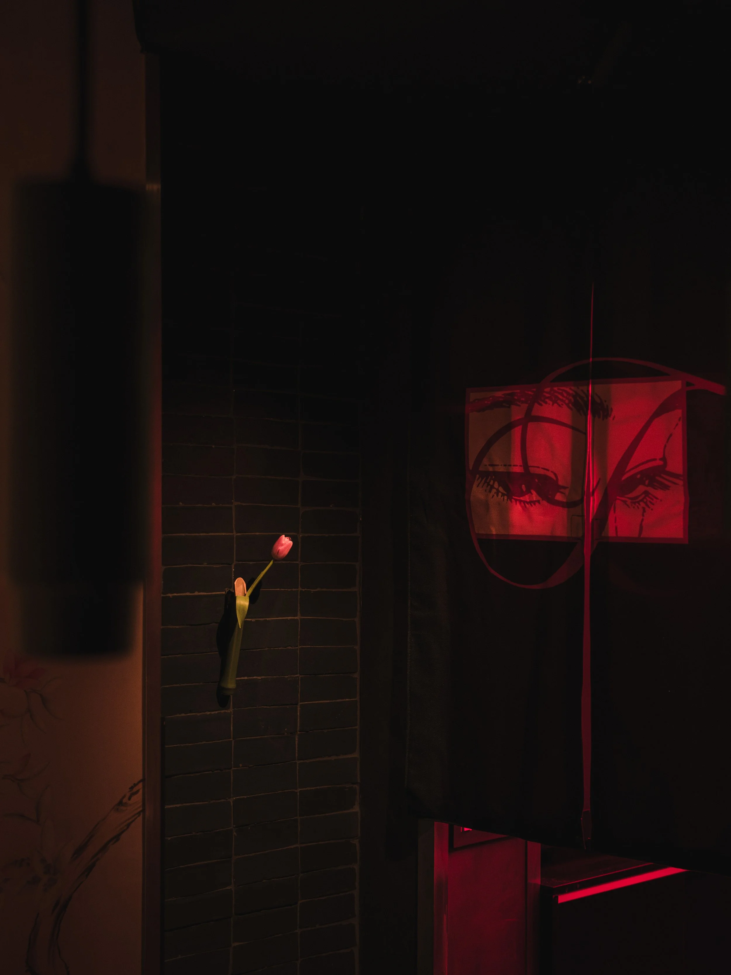 Matthew Kappas X Tachi - Ian Bentley-12.jpg