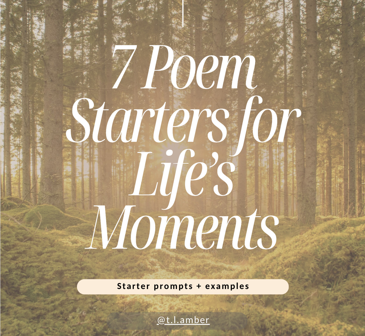 FREE Poetry Prompt Pack