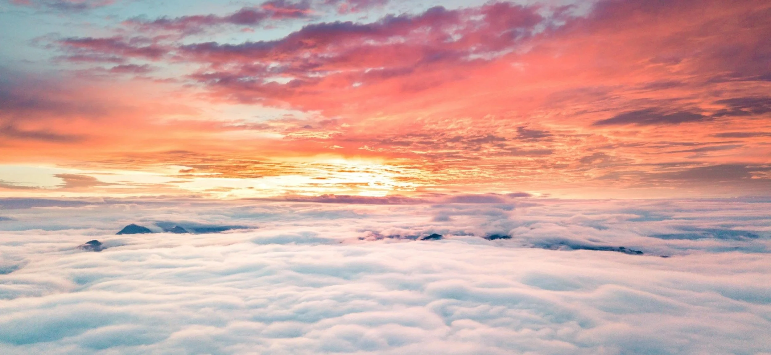 Thank You To a Mentor