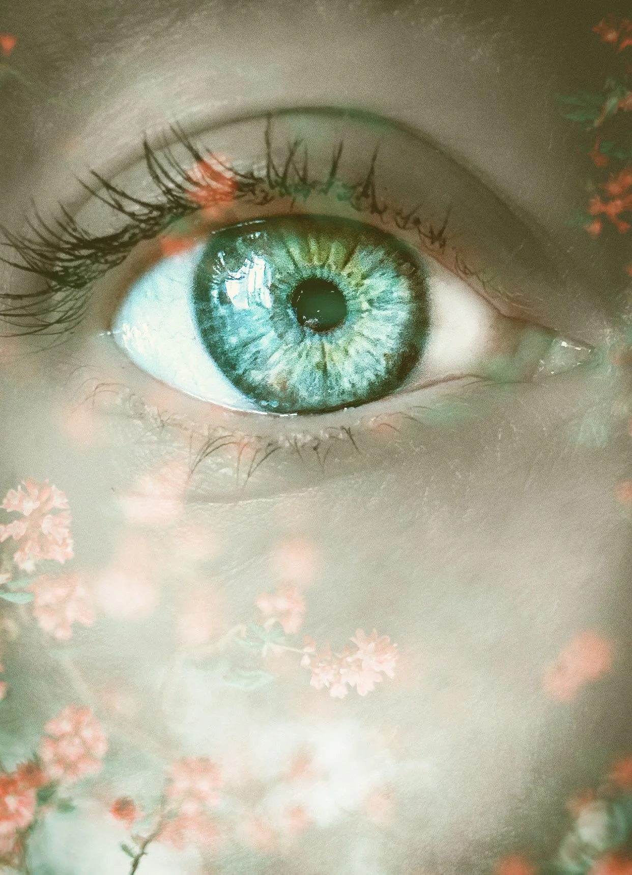 An artistic close-up photograph of the poet, T.L. Amber's human eye, with a blue and green iris, surrounded by eyelashes, with a floral overlay.