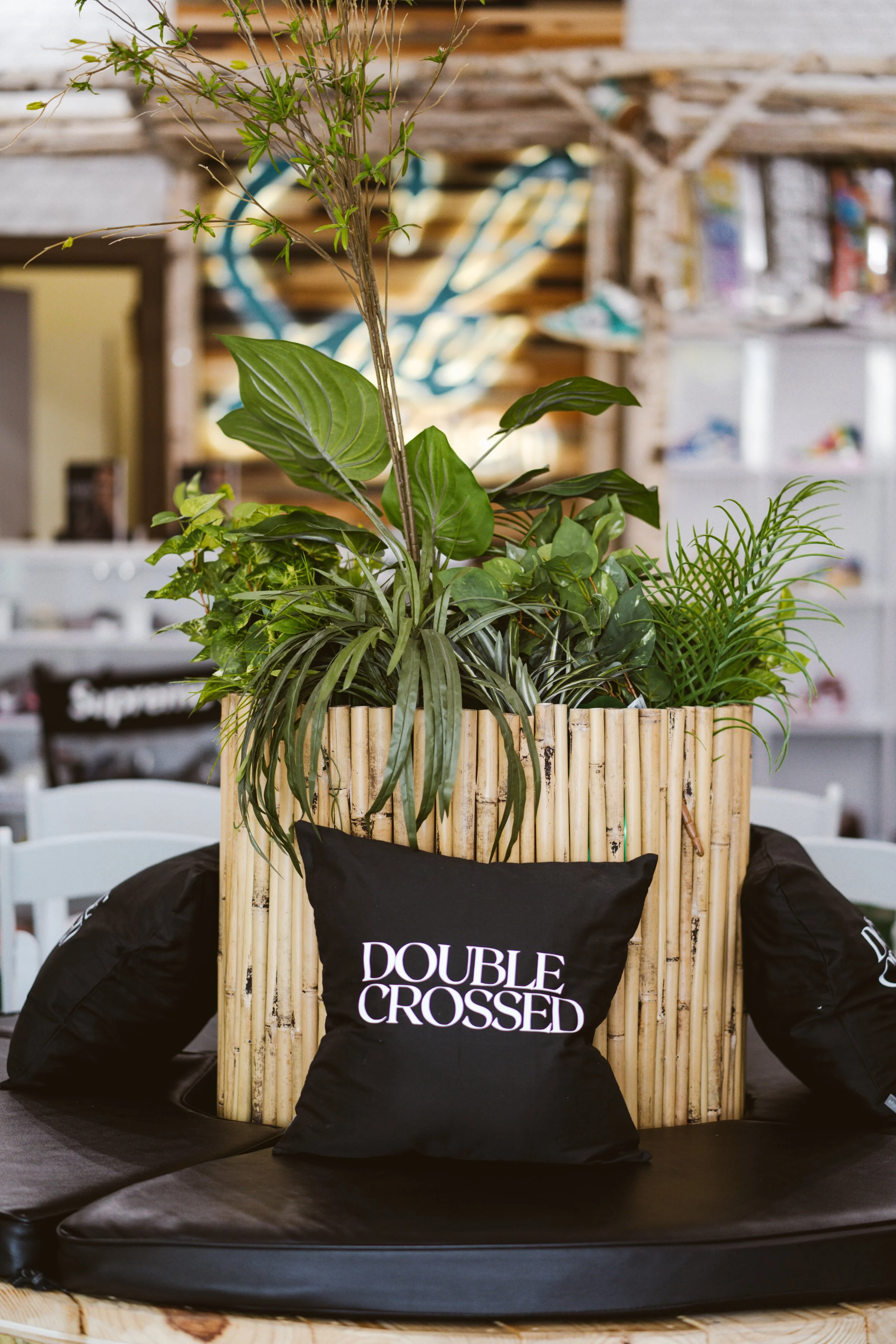 Indoor arrangement of green plants in a bamboo container with black cushions labeled 'DOUBLE CROSSED' on a black leather couch.
