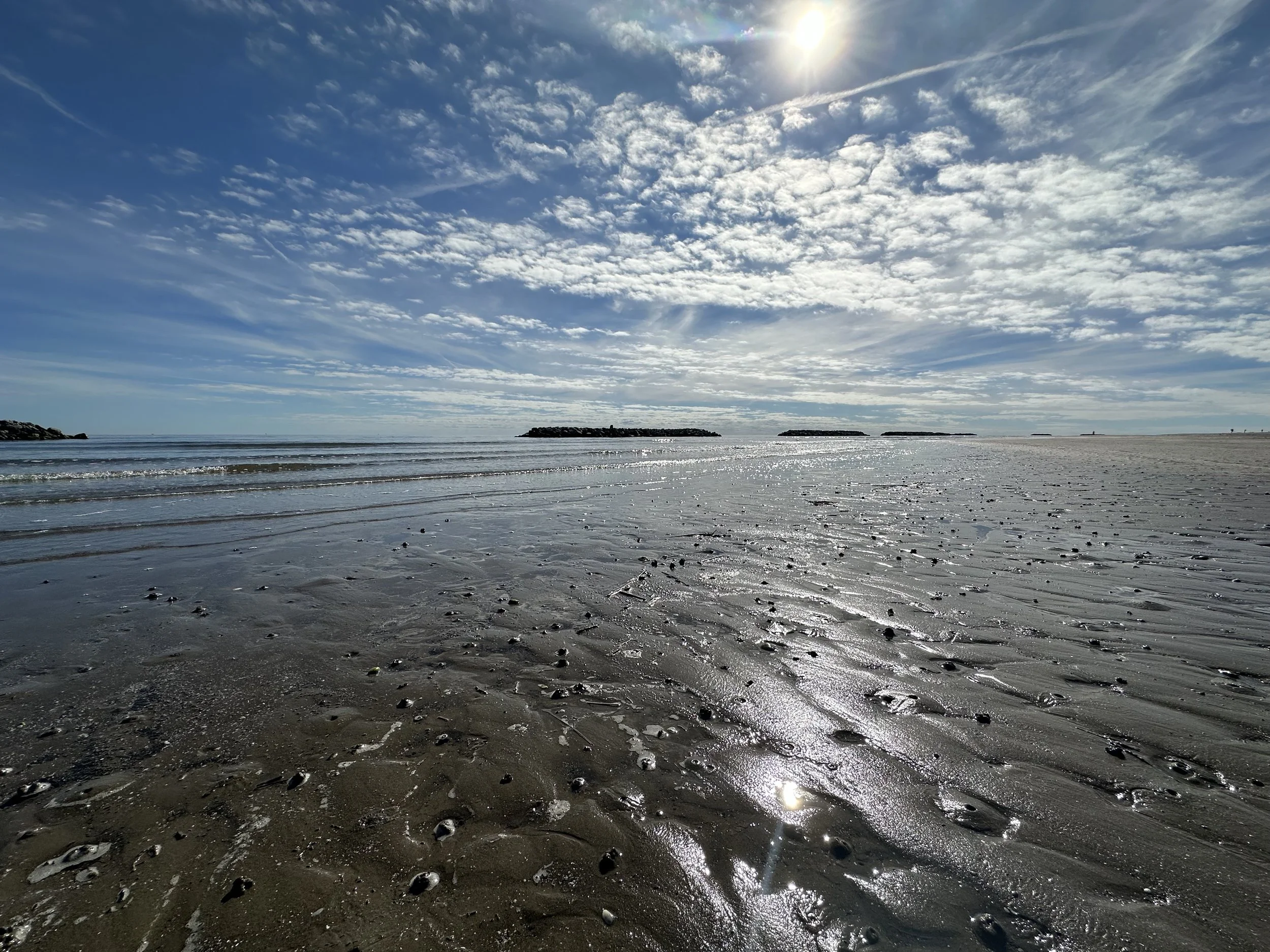 Relaxing photo of the sand and shoreline at the beach