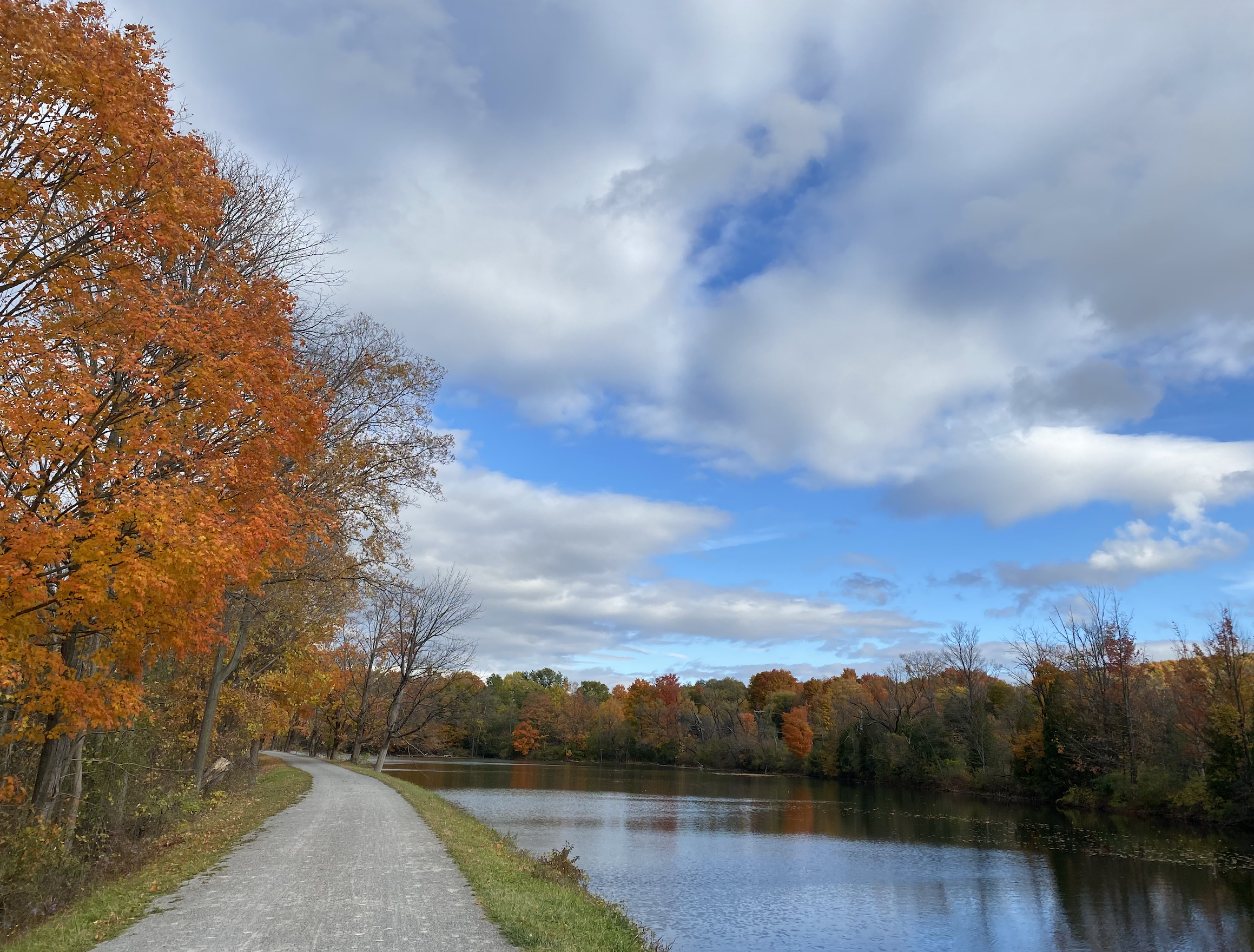 A bike path near a canal with trees with leaves turning orange in the fall and grass that is green and blue sky with clouds.