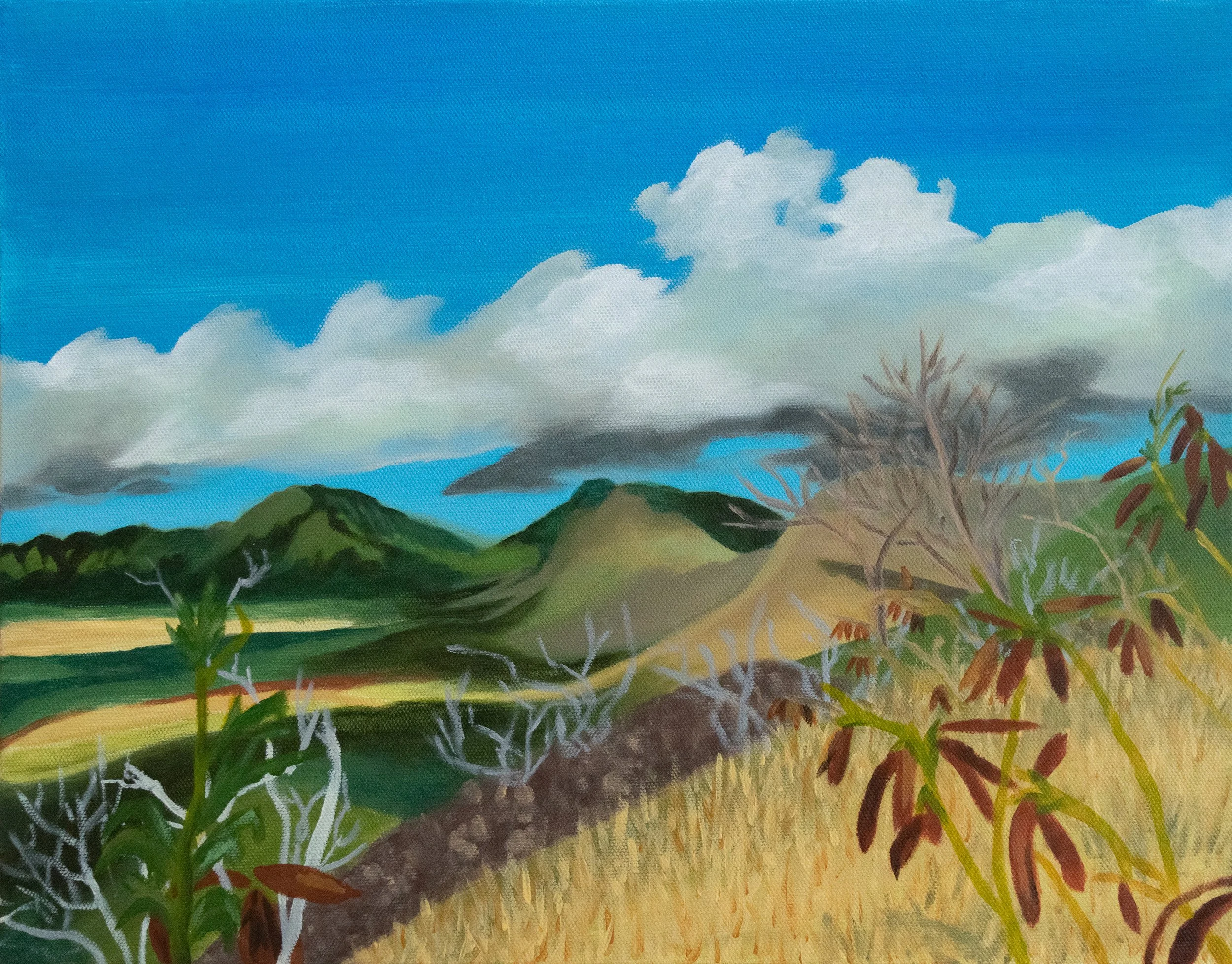 "Pill Box Hike" | 18"x14"x1.5" | Acrylic on Canvas