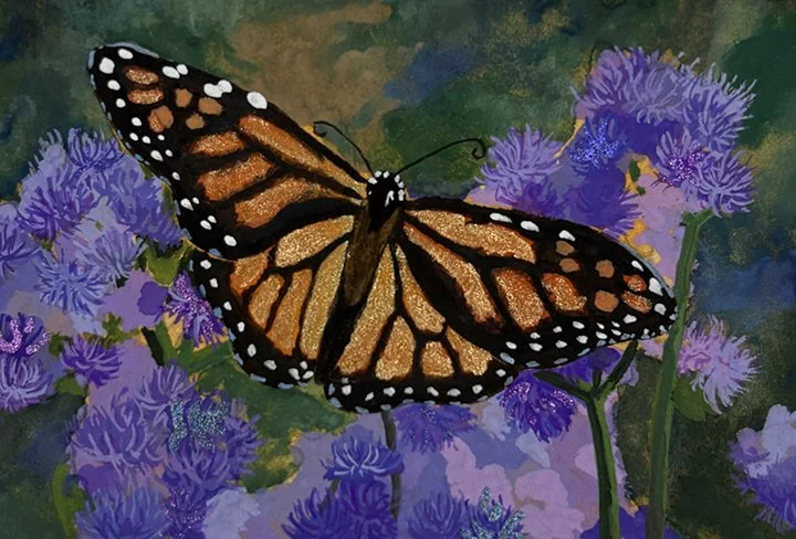 Butterfly.jpg