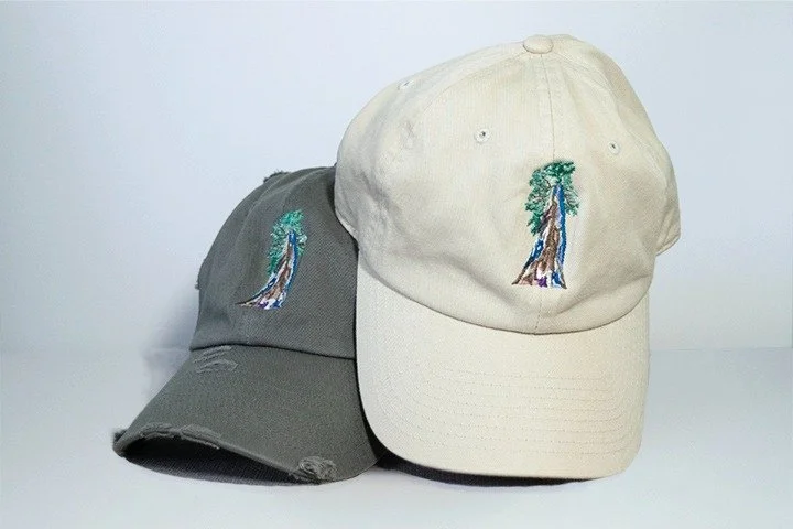 Sequoia Tree Baseball Hat