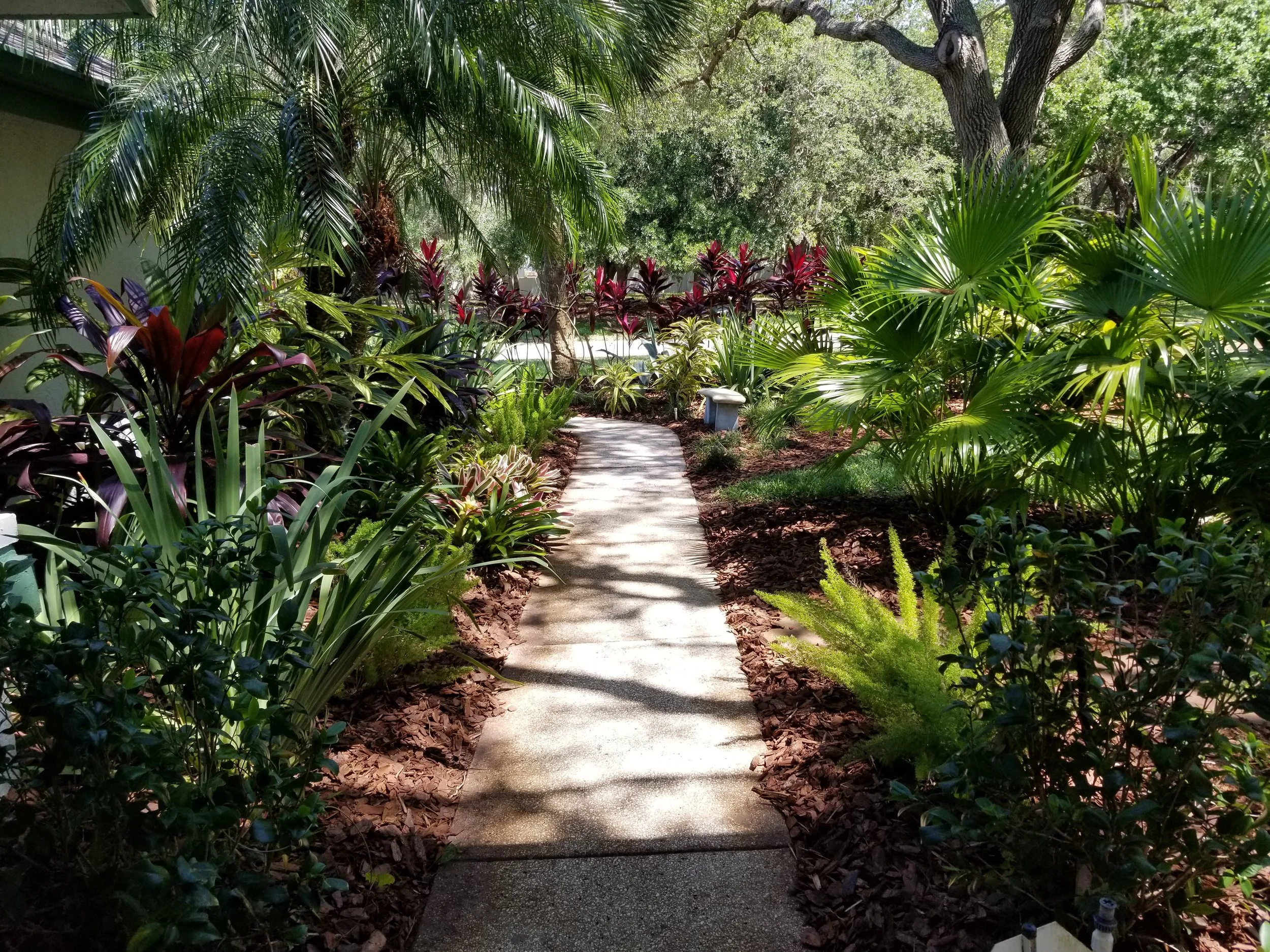 A concrete pathway winding through a lush green garden with palm trees and colorful tropical plants on either side.