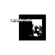 car underwater