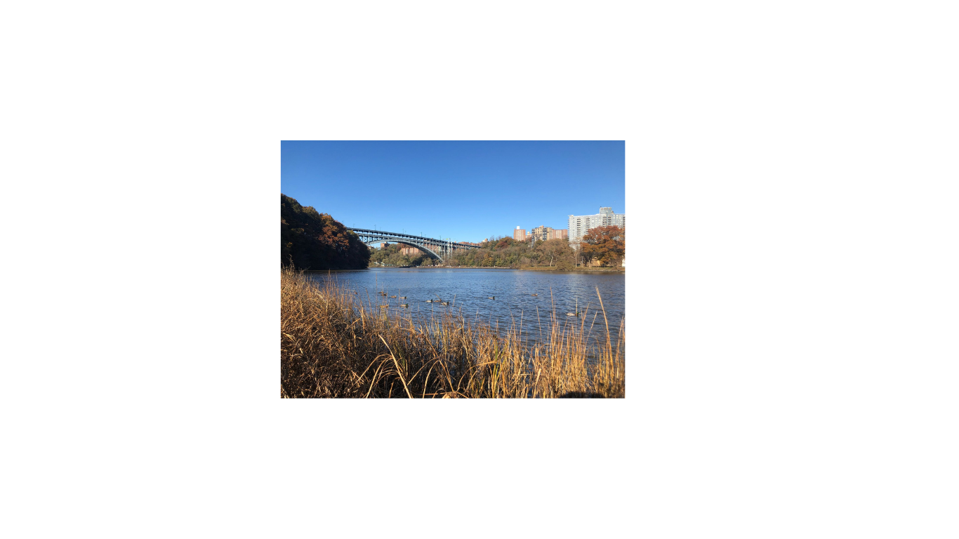 Neighborhood Spotlight