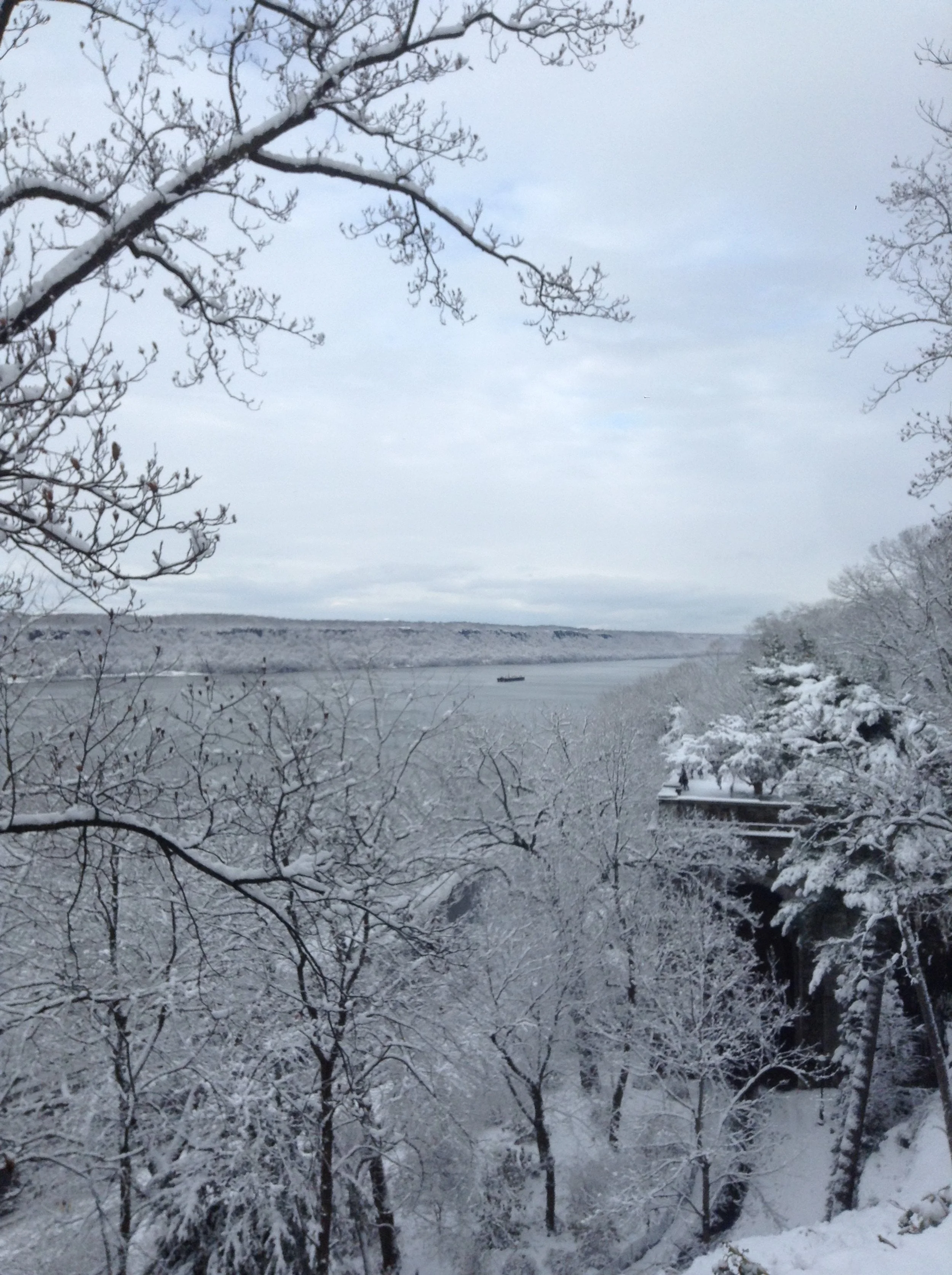 Rosalba Bujanda-Suárez