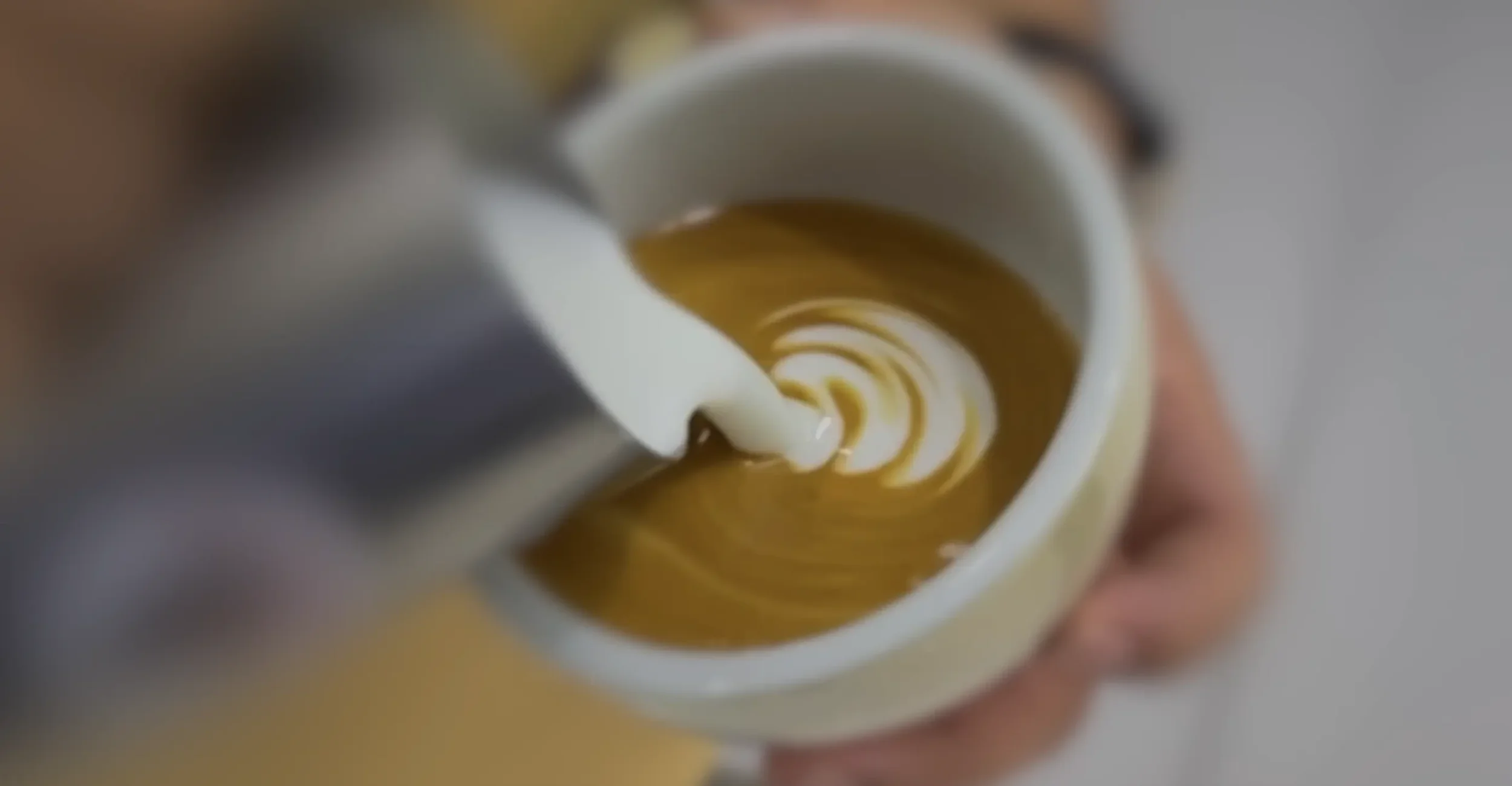 fallback homepage video.webp