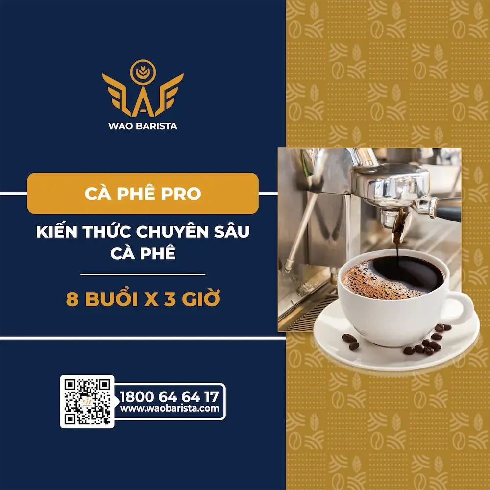Lớp cà phê pro