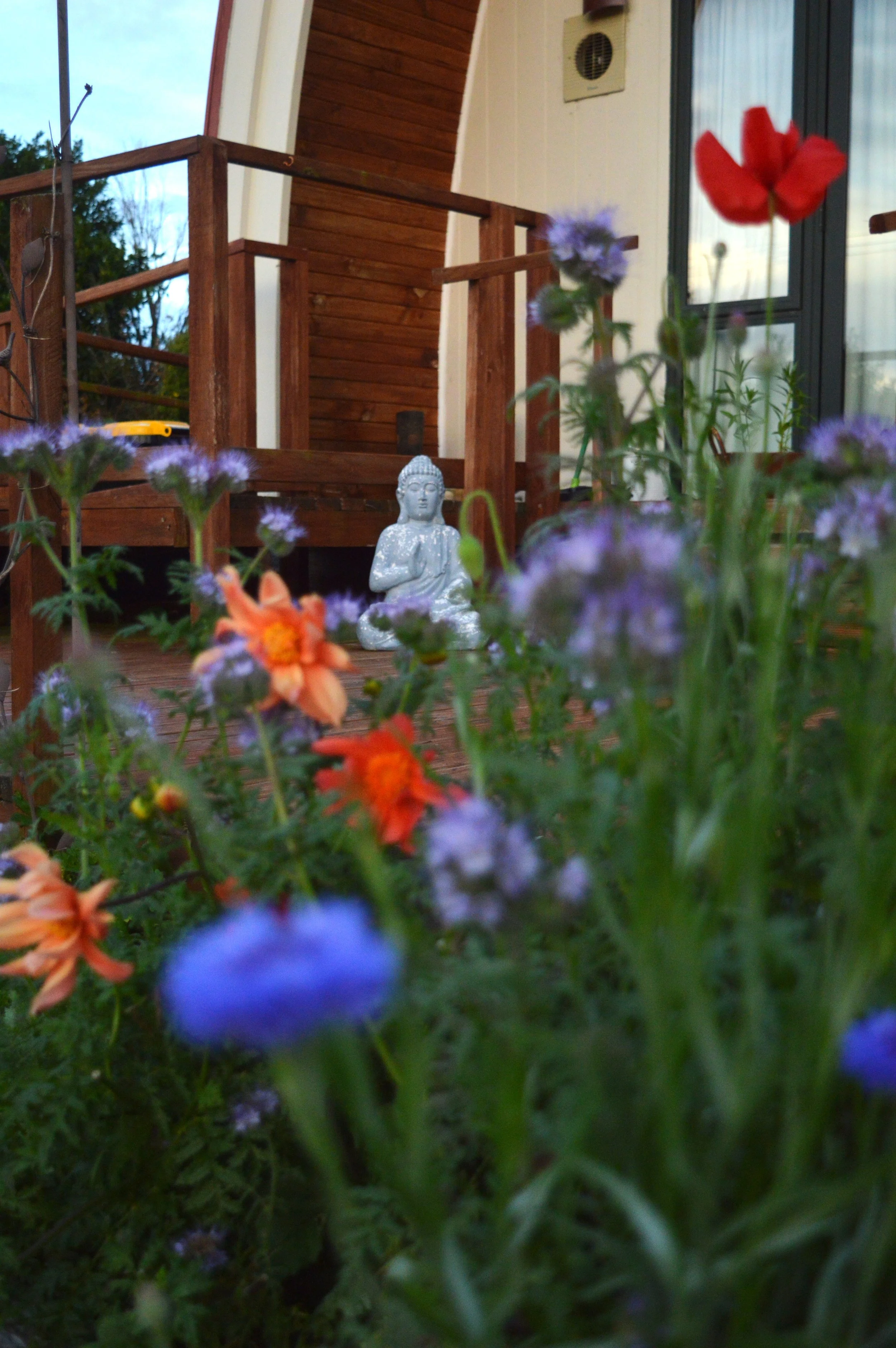 A small garden with colorful flowers, including orange, purple, and red blooms, in front of a wooden deck. A silver Buddha statue is placed on the deck near the house, which has a large window and sliding door. The scene is outdoors during daytime.
