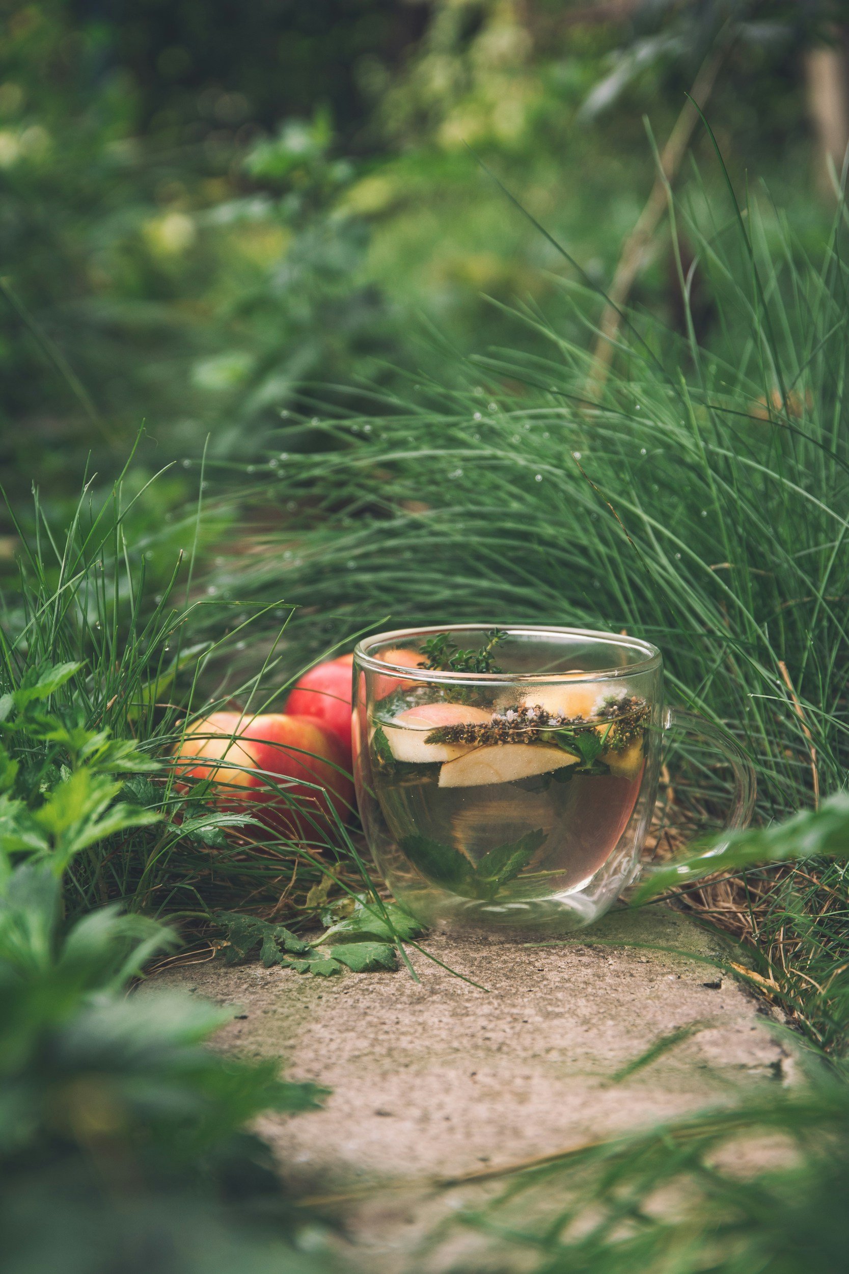A glass cup of herbal tea with apple slices, ginger, and herbs inside, placed outdoors among green grass and plants, with apples nearby.
