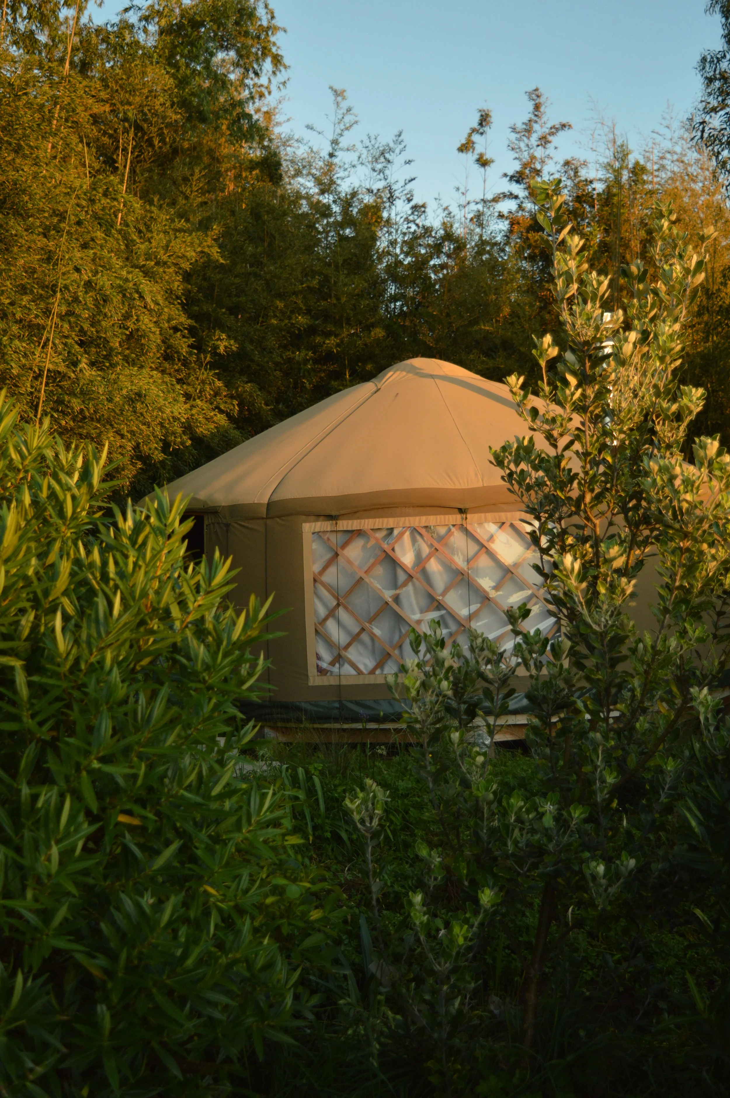 A beige yurt tent surrounded by green trees and bushes, set outdoors during daytime.