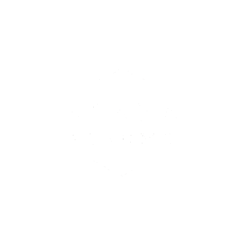 Professional Resume &amp; LinkedIn Writing