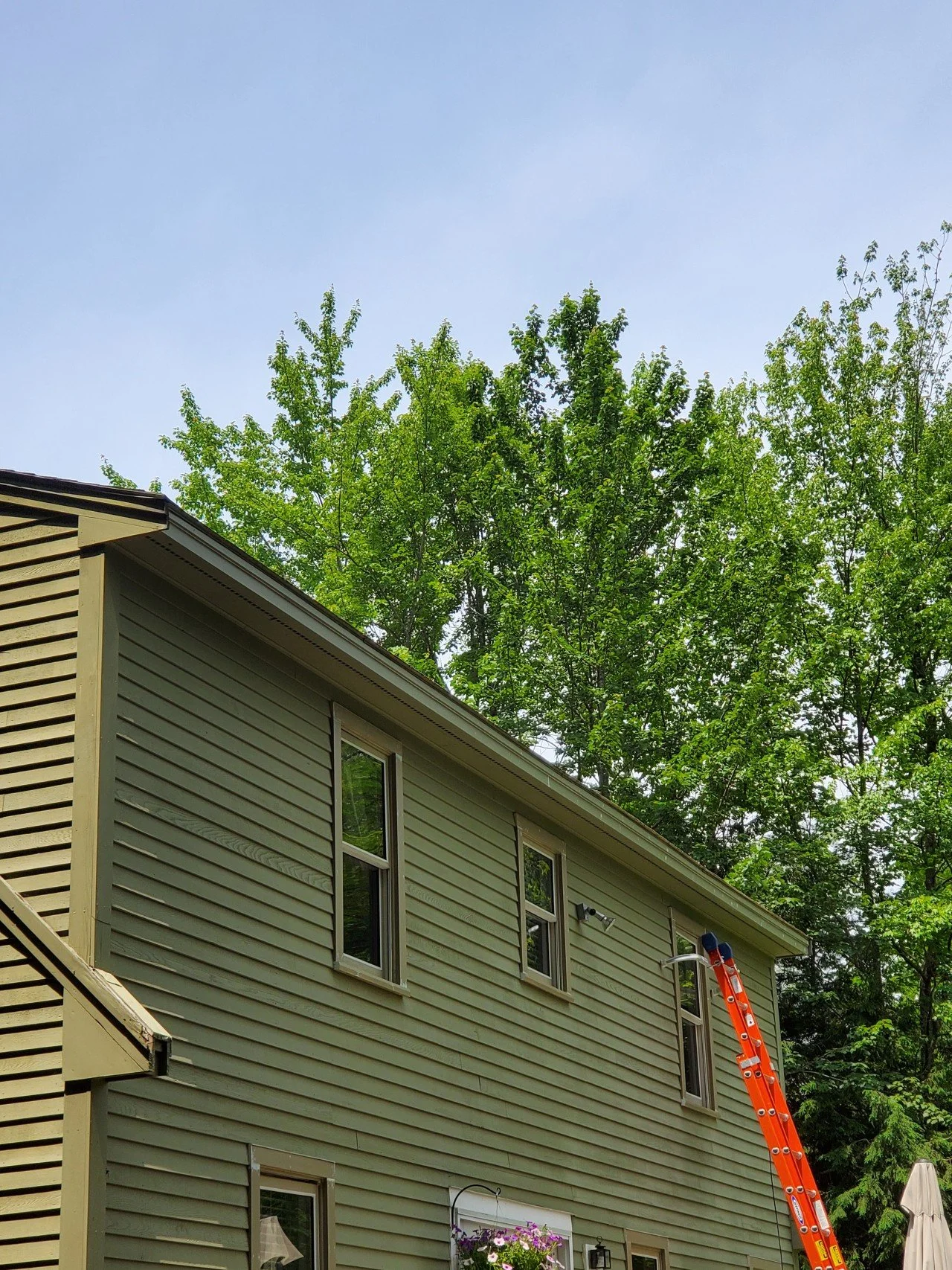 Facia replacement in progress. A two-story house with green wood siding, three windows on the upper floor, and a red ladder leaning against the side, with a background of tall green trees and a light blue sky.