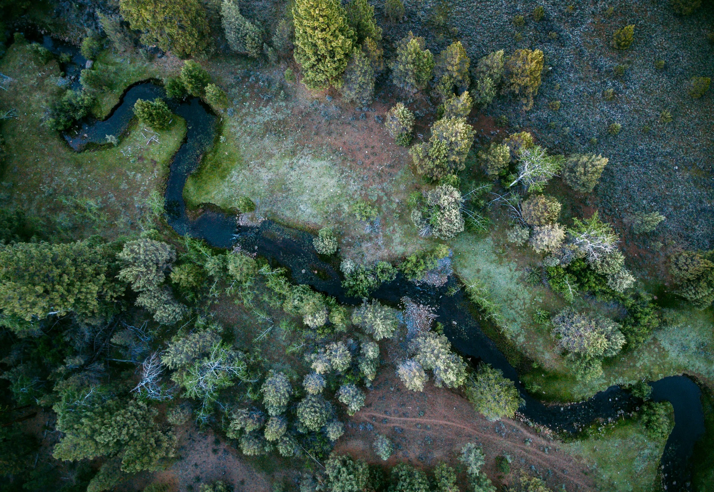 Aerial view of a winding river flowing through a forested landscape with various trees and open grassy areas.